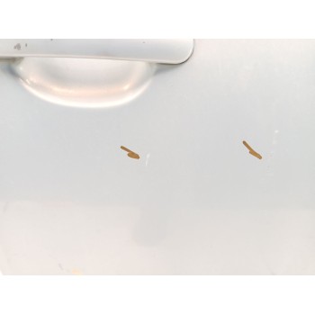 Recambio de puerta delantera derecha para seat ibiza iii (6l1) 1.4 tdi referencia OEM IAM 6L4831056S  