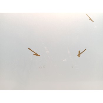 Recambio de puerta delantera derecha para seat ibiza iii (6l1) 1.4 tdi referencia OEM IAM 6L4831056S  