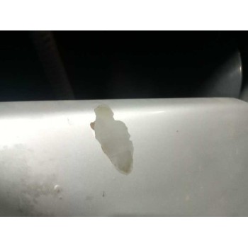 Recambio de capot para nissan primera berlina (p12) acenta referencia OEM IAM  GRIS 