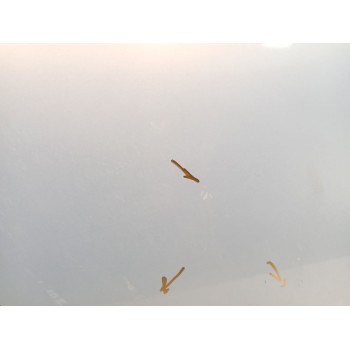 Recambio de puerta delantera derecha para seat ibiza iii (6l1) 1.4 tdi referencia OEM IAM 6L4831056S  