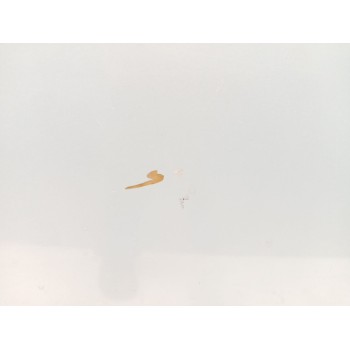 Recambio de puerta trasera derecha para seat ibiza iii (6l1) 1.4 tdi referencia OEM IAM 6L4833056T  