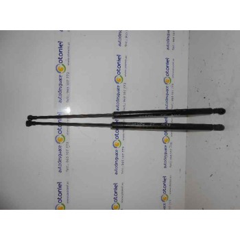 AMORTIGUADORES MALETERO / PORTON X2 