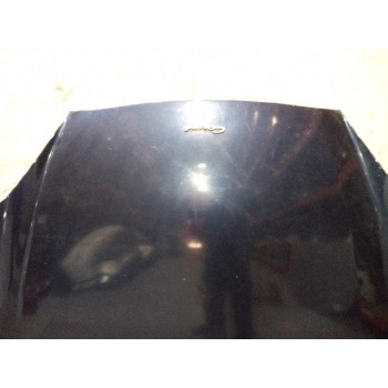 Recambio de capot para hyundai coupe (gk) 1.6 fx referencia OEM IAM   