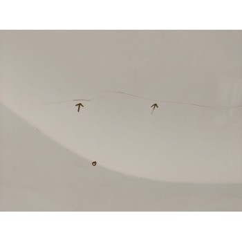 Recambio de puerta delantera izquierda para fiat talento furgoneta (296_) 2.0 ecojet referencia OEM IAM 0006000620487  