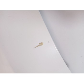 Recambio de capot para hyundai ix55 3.0 v6 crdi 4wd referencia OEM IAM 664003J010  