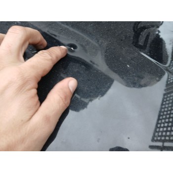 Recambio de capot para bmw x3 (e83) 2.0 sd referencia OEM IAM 41003449411  