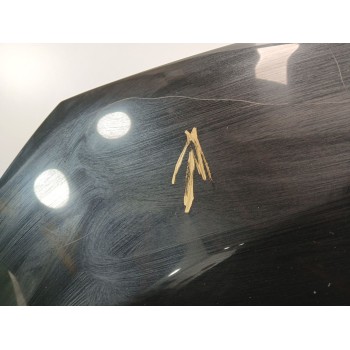 Recambio de capot para bmw x1 (e84) sdrive 18 d referencia OEM IAM   