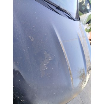 Recambio de capot para nissan qashqai i (j10, nj10) 1.6 dci referencia OEM IAM F5100JD0MB  