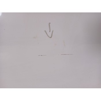 Recambio de puerta delantera derecha para renault zoe (bfm_) zoe referencia OEM IAM 801004005R  