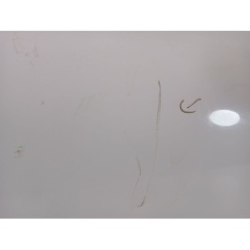 Recambio de puerta delantera derecha para renault zoe (bfm_) zoe referencia OEM IAM 801004005R  