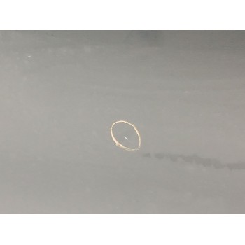 Recambio de puerta trasera izquierda para dacia lodgy (js_) 1.2 tce (jsay, jsm0) referencia OEM IAM   