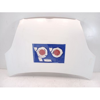 Recambio de capot para fiat doblo autobús (263_) 1.6 d multijet (263axd1b) referencia OEM IAM 51810378  