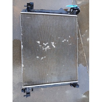 RADIADOR AGUA 214108607R 