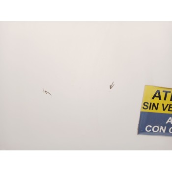Recambio de puerta trasera izquierda para opel combo furgoneta/monovolumen (x12) 1.3 cdti (b05) referencia OEM IAM 95531354  