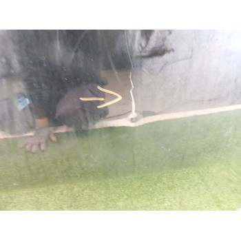 Recambio de puerta delantera derecha para bmw x6 (e71, e72) m referencia OEM IAM 41517198160  