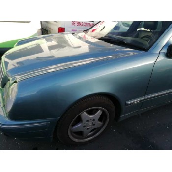 ALETA DELANTERA IZQUIERDA RAYADA 