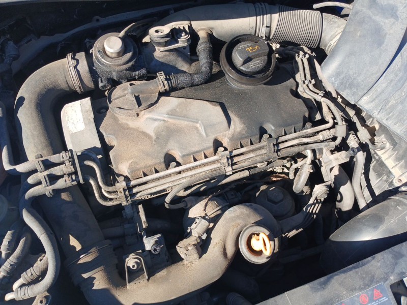 Recambio de motor completo para seat toledo iii (5p2) 1.9 tdi referencia OEM IAM BJB  b