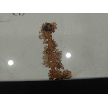 Recambio de aleron trasero para nissan qashqai (j11) acenta referencia OEM IAM  BLANCO CON LUZ FRENO