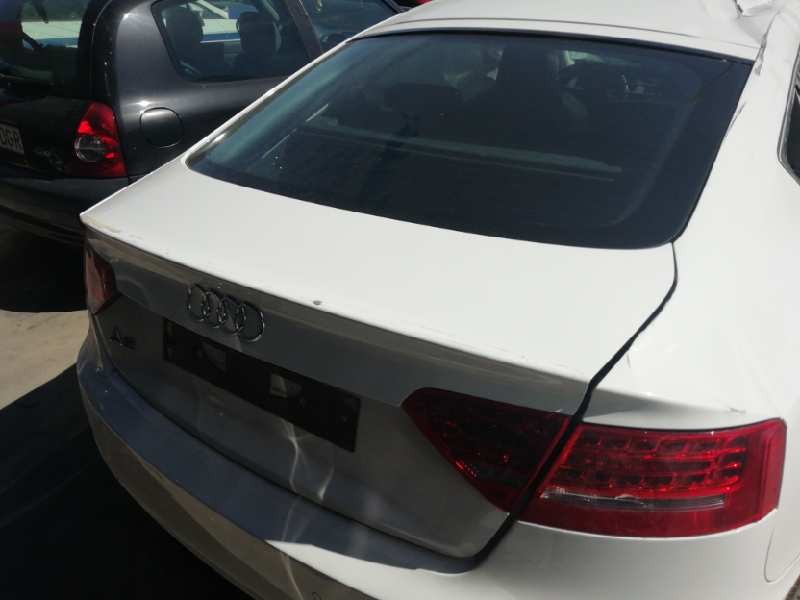 Recambio de porton trasero para audi a5 sportback (8t) 2.7 tdi referencia OEM IAM  BLANCO 