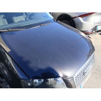 Recambio de capot para audi a3 (8p1) 1.9 tdi referencia OEM IAM 8P0823029B  