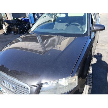 Recambio de capot para audi a3 (8p1) 1.9 tdi referencia OEM IAM 8P0823029B  