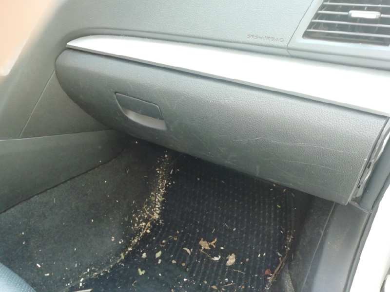 Recambio de guantera para subaru legacy kombi/outback b14 outback limited referencia OEM IAM   
