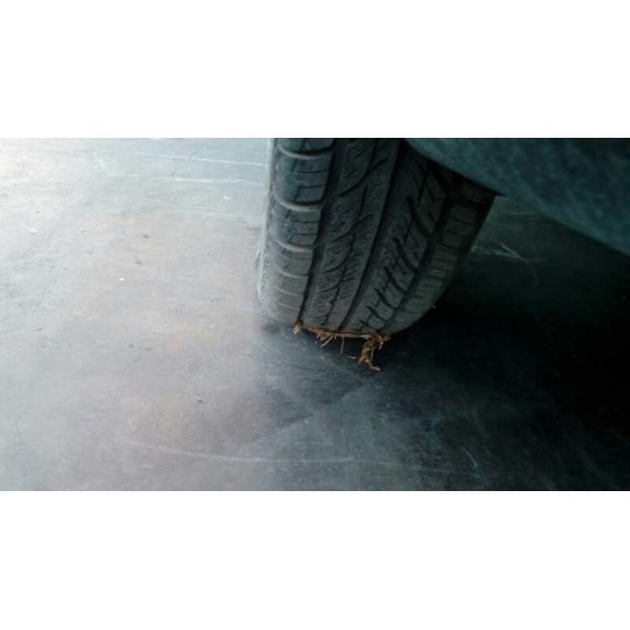 fiat palio weekend (178) del año 1998