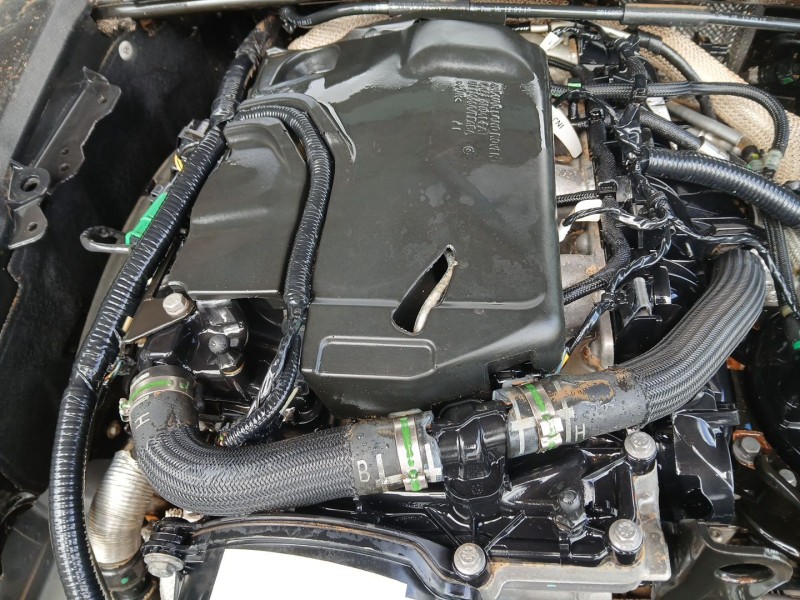 Recambio de motor completo para jaguar xf i (x250) 2.2 d referencia OEM IAM 224DT C2Z30731 