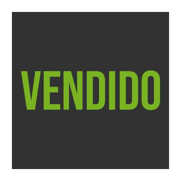 volkswagen new beetle (9c1/1c1) del año 1998