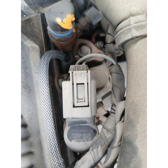 Recambio de inyector para ford transit connect (p65_, p70_, p80_) 1.8 tdci referencia OEM IAM 7t1q9f593ab  