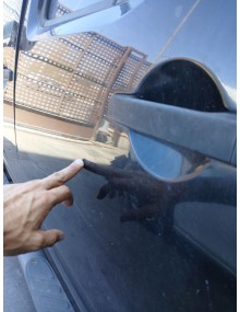 Recambio de puerta trasera izquierda para nissan navara np300 (d40) 2.5 dci 4wd referencia OEM IAM    2