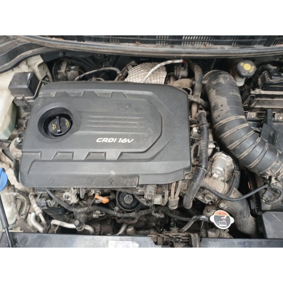 kia rio iv (yb, sc, fb) del año 2017