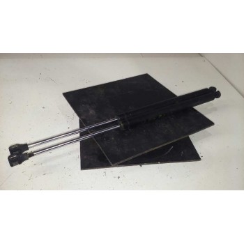 AMORTIGUADORES MALETERO / PORTON 