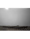 Recambio de brazo limpia delantero izquierdo para audi a4 avant (8e) 2.0 tdi referencia OEM IAM 8E1955407C  
