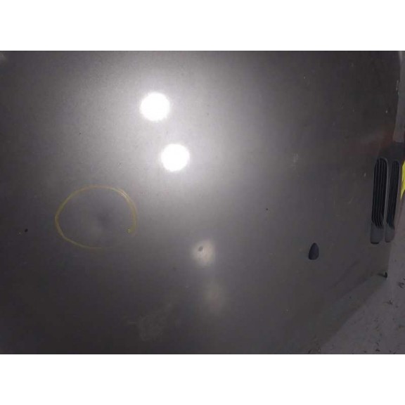 Recambio de capot para peugeot 206+ básico referencia OEM IAM  PINTURA MAL 