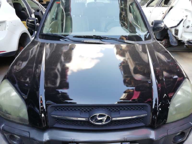 Recambio de capot para hyundai tucson (jm) 2.0 crdi cat referencia OEM IAM 664002E020  