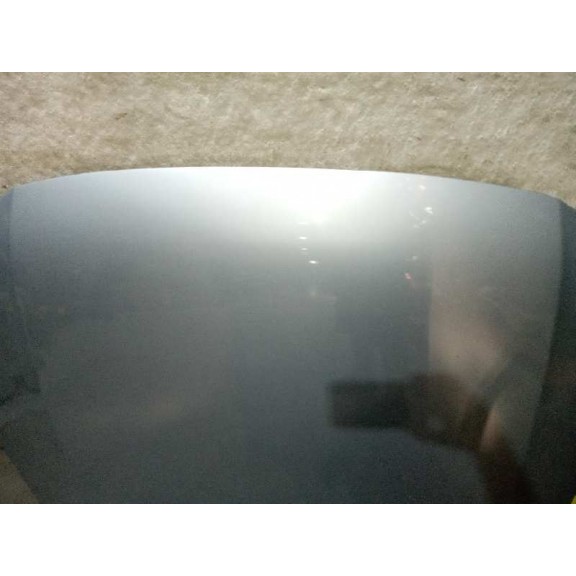 Recambio de capot para volkswagen passat berlina (3b3) 1.9 tdi referencia OEM IAM   