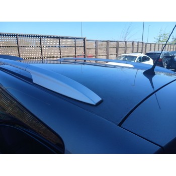 Recambio de barras techo para renault scénic iii (jz0/1_) 1.6 dci (jz00, jz12) referencia OEM IAM AVD04803400  