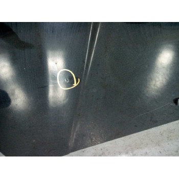 Recambio de capot para hyundai tucson (jm) 2.0 crdi cat referencia OEM IAM 664002E020  