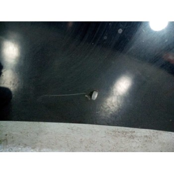 Recambio de capot para hyundai tucson (jm) 2.0 crdi cat referencia OEM IAM 664002E020  