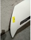 Recambio de capot para peugeot expert kasten 2.0 hdi cat (rhk / dw10uted4) referencia OEM IAM   