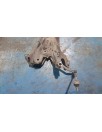 Recambio de puente delantero para toyota prius+ eco referencia OEM IAM   
