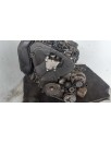 Recambio de motor completo para peugeot 307 (s1) xr referencia OEM IAM RHY M BOSCH EXP