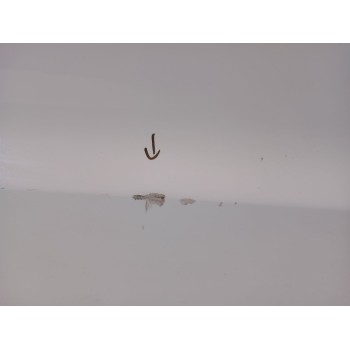 Recambio de puerta trasera izquierda para hyundai santa fe (bm) 2.2 crdi cat referencia OEM IAM   