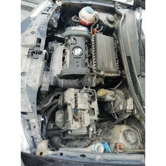 seat ibiza (6l1) del año 2007