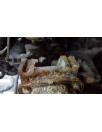 Recambio de caja cambios para audi tt (8n3/8n9) 1.8 t coupe (110kw) referencia OEM IAM EGZ  47.000KM