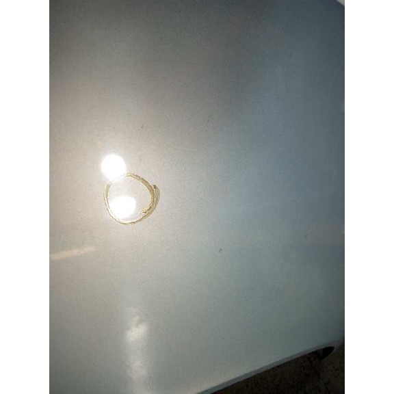 Recambio de capot para renault scenic ii 1.5 dci diesel referencia OEM IAM   