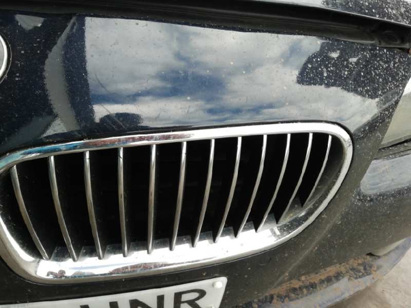 Recambio de rejilla delantera para bmw serie 5 lim. (f10) 2.0 turbodiesel referencia OEM IAM 51137200 RIÑÓN IZQUIERDO 