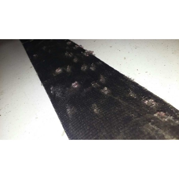 Recambio de cinturon seguridad delantero izquierdo para renault kangoo (f/kc0) authentique referencia OEM IAM TRW1543594  