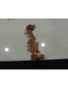 Recambio de aleron trasero para nissan qashqai (j11) acenta referencia OEM IAM  BLANCO CON LUZ FRENO 2